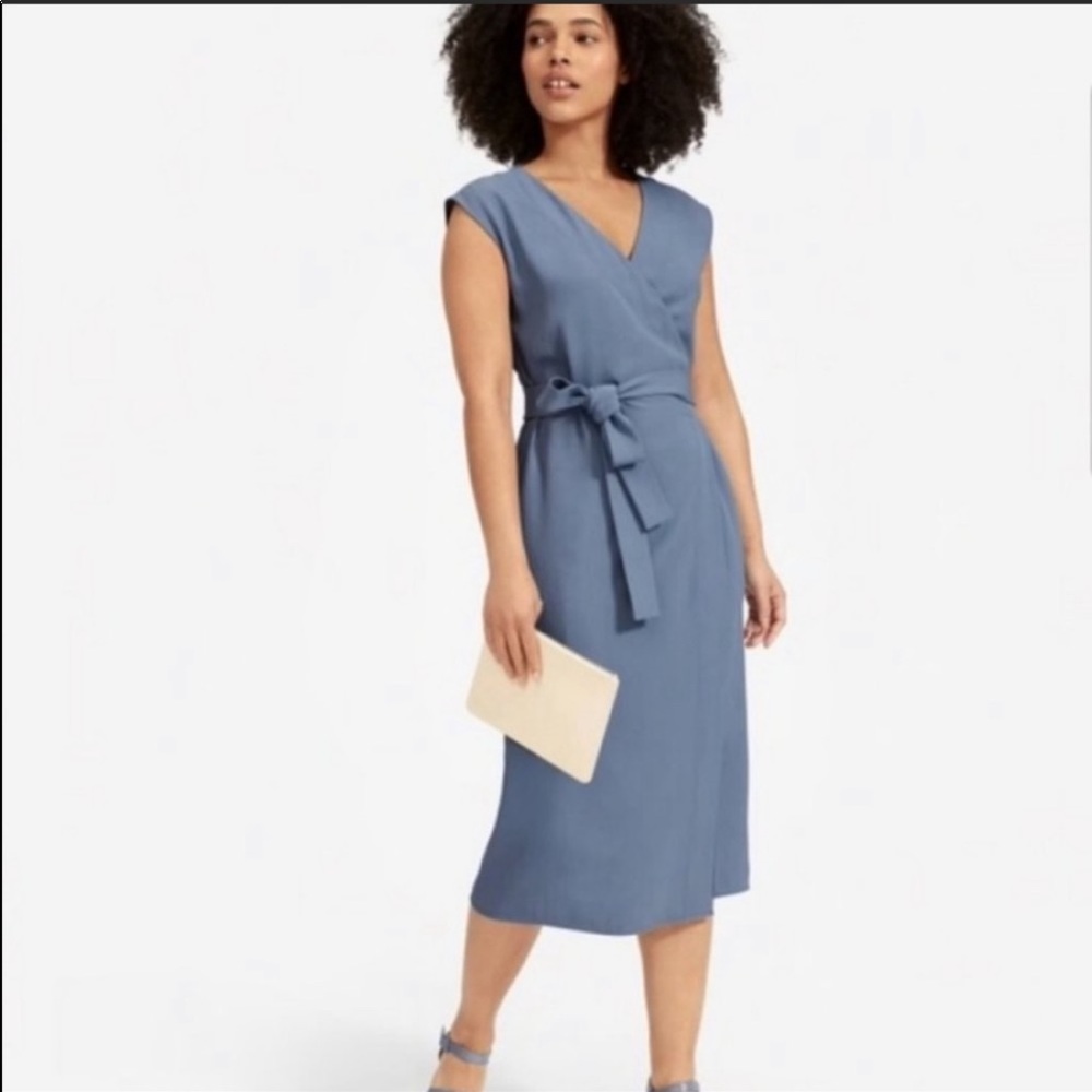 Everlane Japanese GoWeave Wrap Dress Blue Size 16